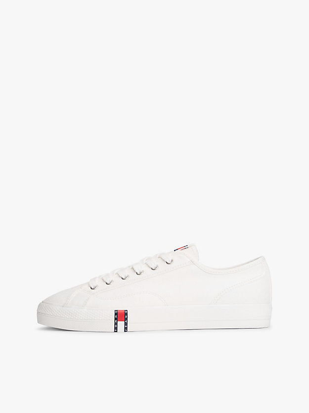 Archive Flag Stripe Canvas Trainers