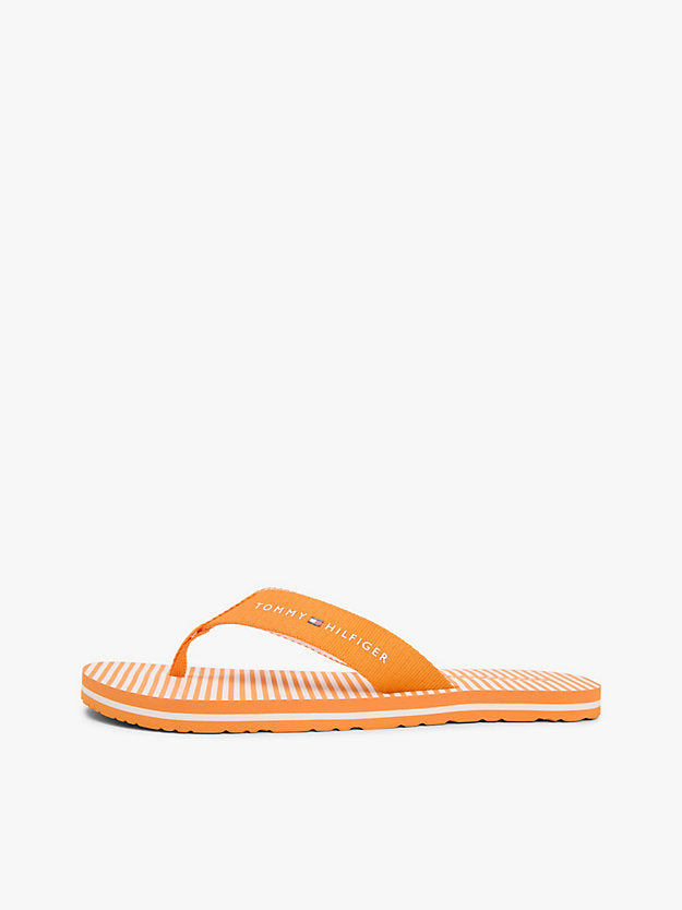 Webbing Strap Ithaca Stripe Flip-Flops