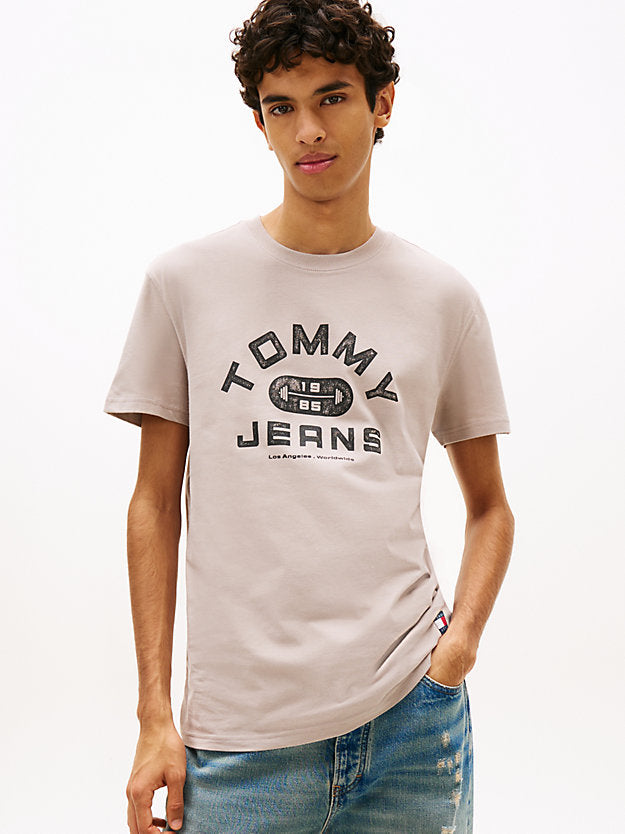 Graphic Crew Neck Jersey T-Shirt