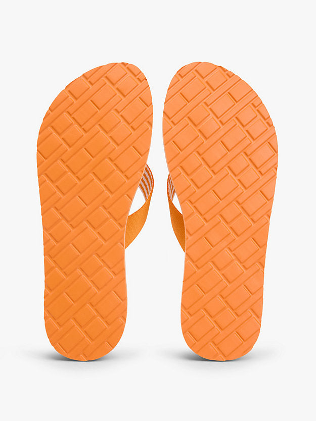 Webbing Strap Ithaca Stripe Flip-Flops