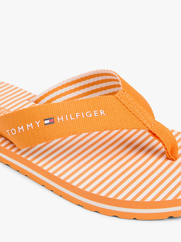 Webbing Strap Ithaca Stripe Flip-Flops
