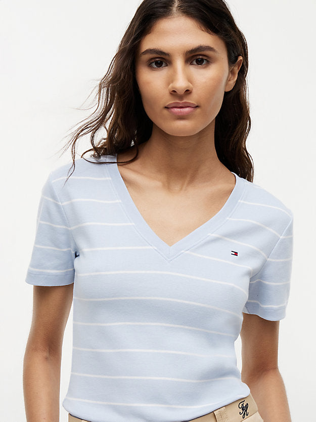 Flag Embroidery Slim V-Neck T-Shirt