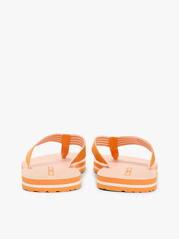 Webbing Strap Ithaca Stripe Flip-Flops