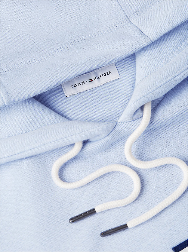 Logo Embroidery Fleece Hoody