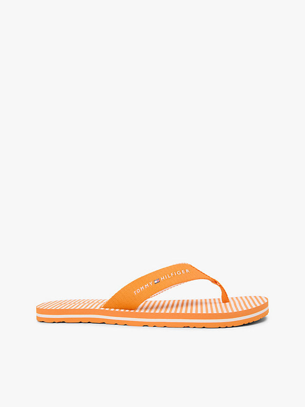 Webbing Strap Ithaca Stripe Flip-Flops