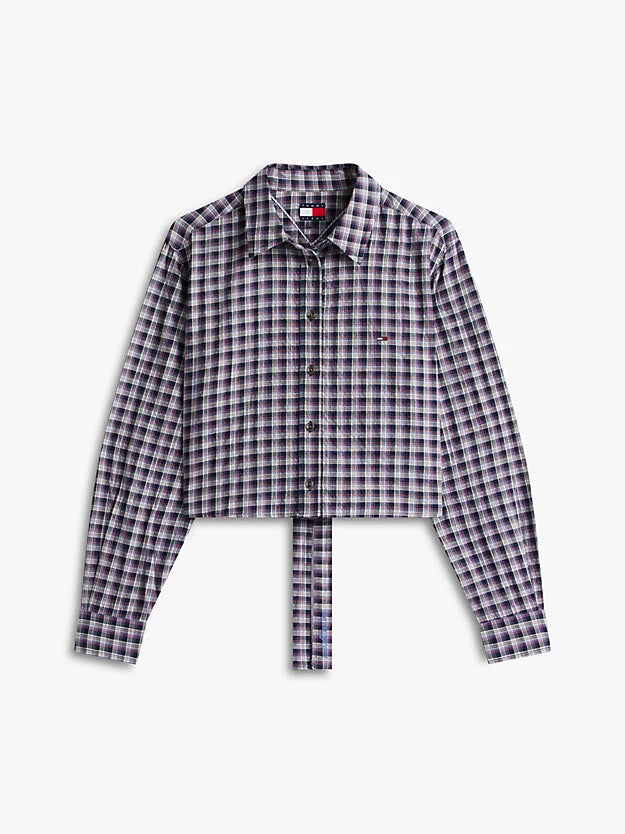 Regular Fit Tie Back Check Seersucker Shirt